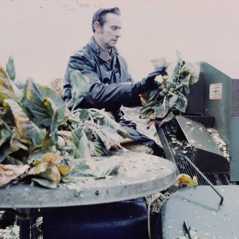 Bedfordshire Growers Supplying quality product all year round. We